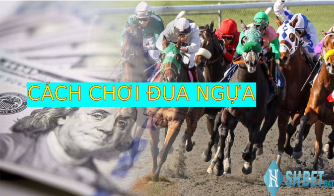 Hướng dẫn tự tạo trò chơi ô cửa bí mật 2016 dễ dàng và thú vị
