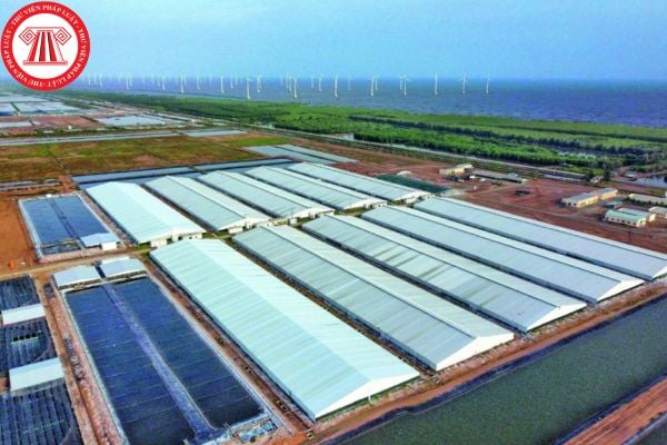 Trải nghiệm mới lạ với trò chơi mèo bắt chuột: Tải về ngay để thử thách bản thân!
