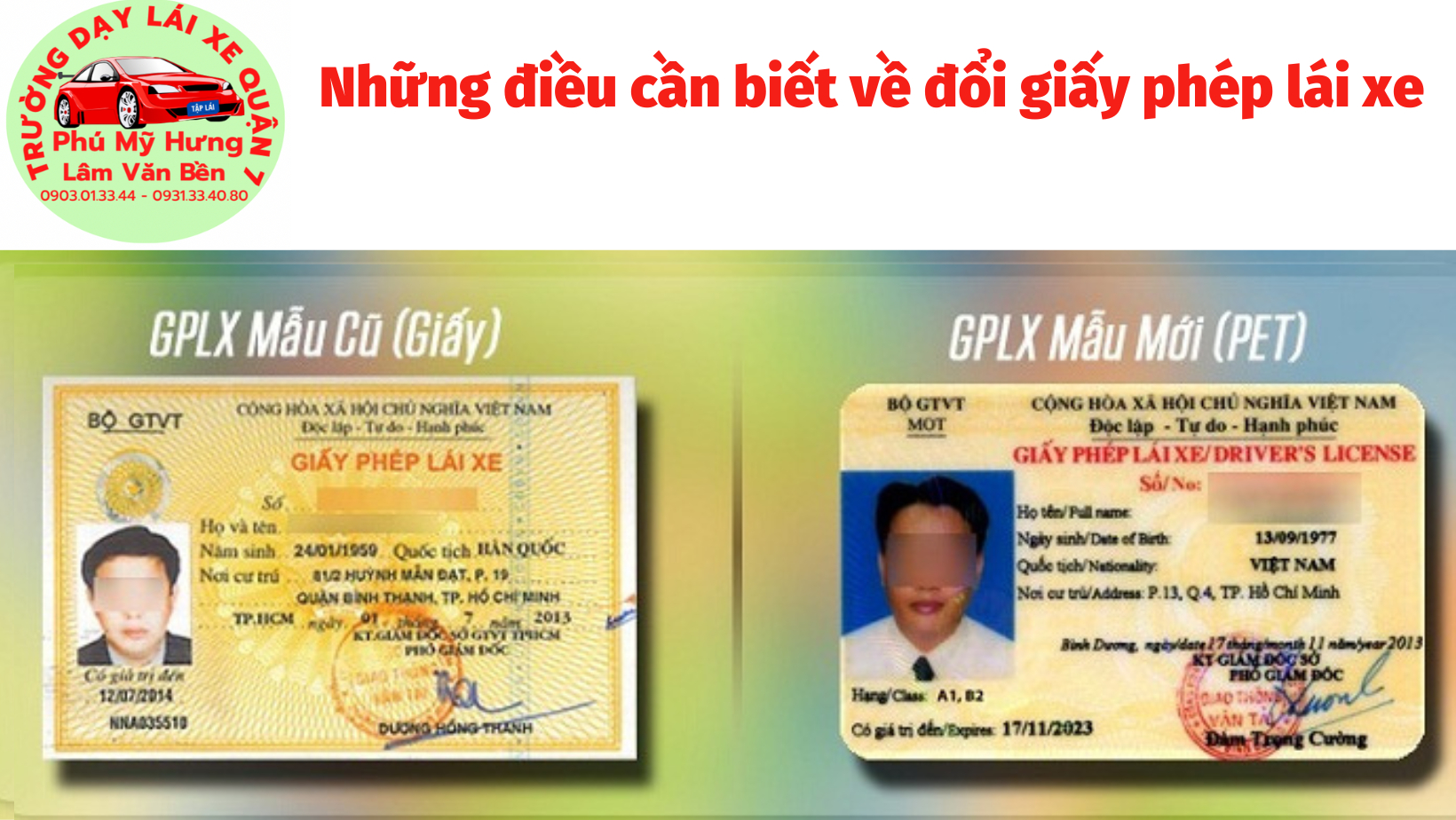 Khám phá dây leo dạng sợi chạc cho các trò chơi trong nhà đầy thú vị