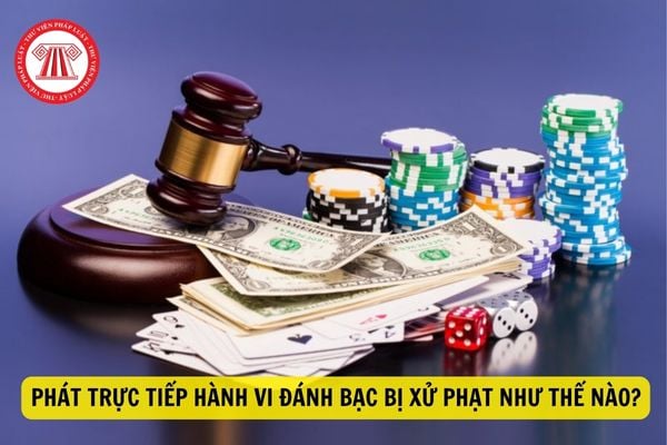 Khám phá niềm vui bất tận với trò chơi khám răng thú vị