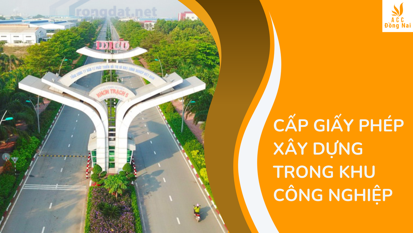 Khám Phá Các Trò Chơi Thú Vị Trong Đầu Đĩa