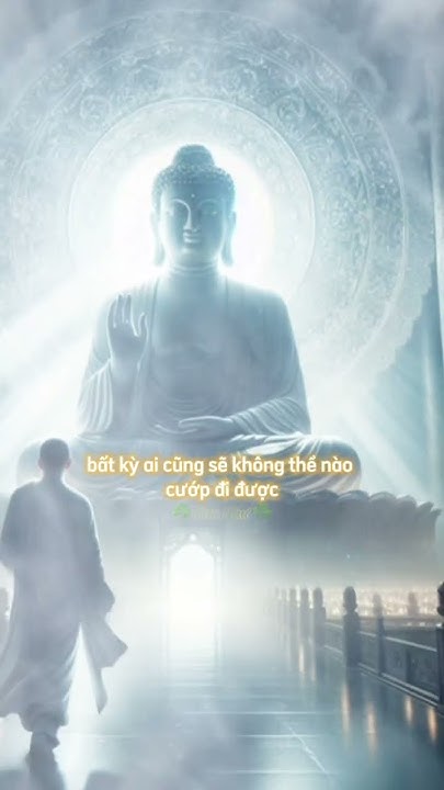 Khám phá thế giới bô ni trò chơi với trải nghiệm hấp dẫn nhất!