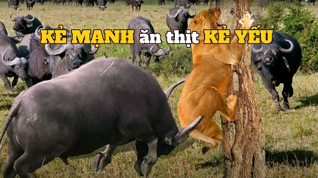Khám Phá Những Trò Chơi Từ Vựng Tiếng Hàn Đầy Thú Vị